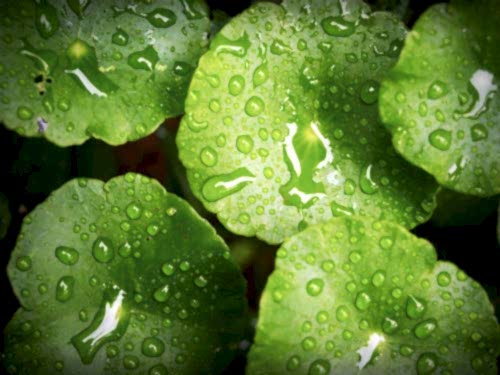 pexels-iconcom-216657-scaled