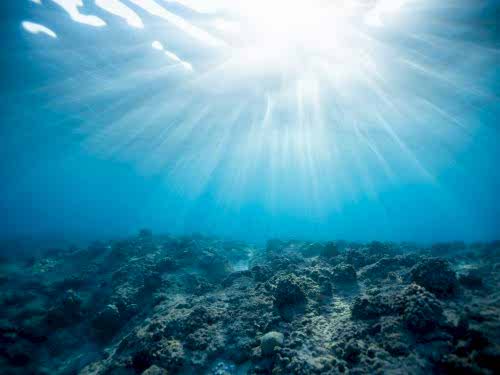 pexels-jeremy-bishop-2397651-scaled