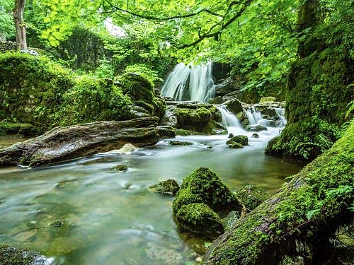 pexels-pixabay-460621-scaled